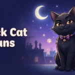 Funny black cat cartoon posing