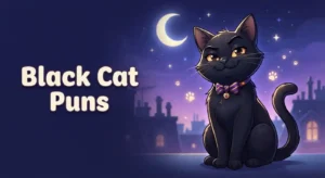 Funny black cat cartoon posing